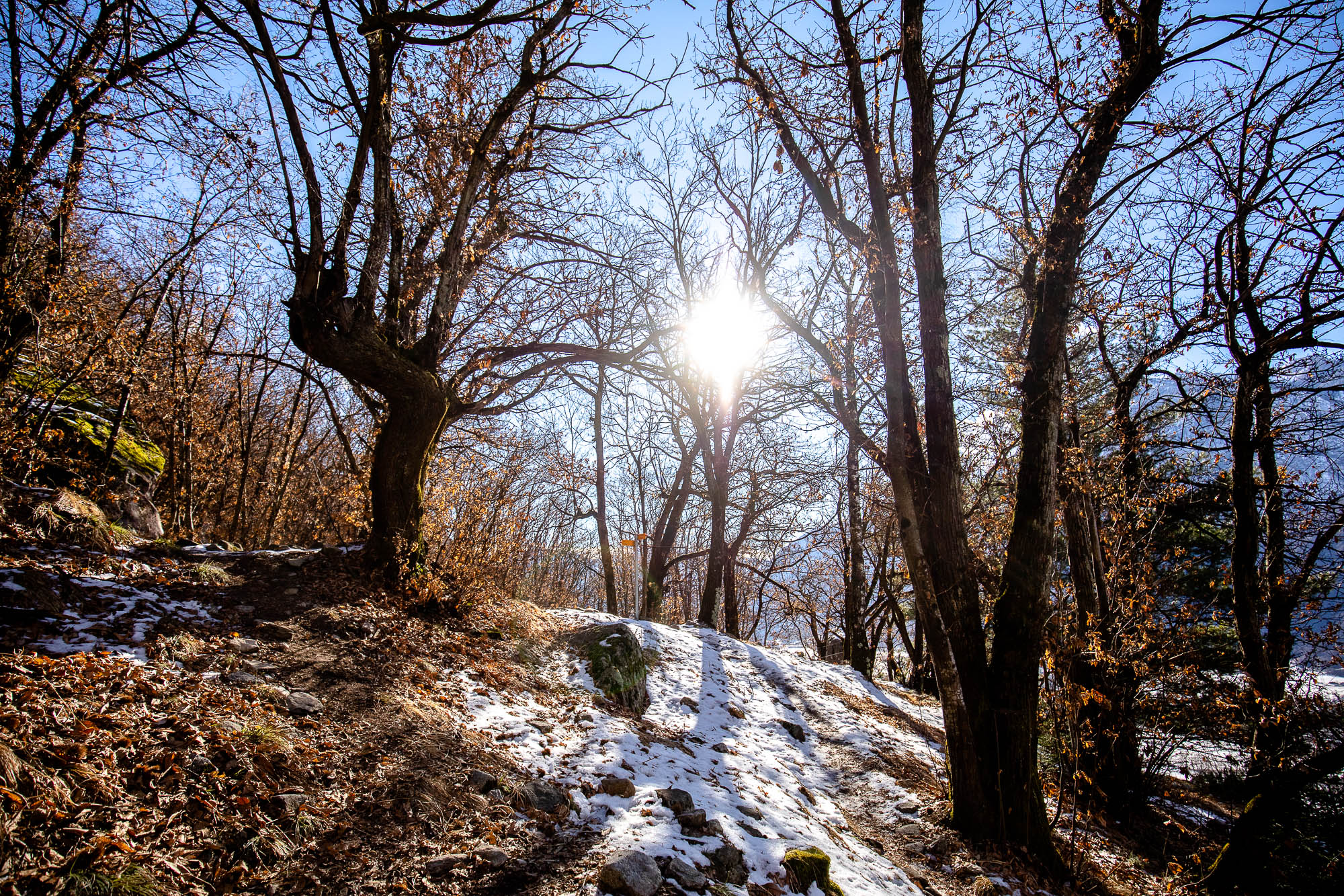 Export x3 5D4 2328 Bouldering Cresciano 2021